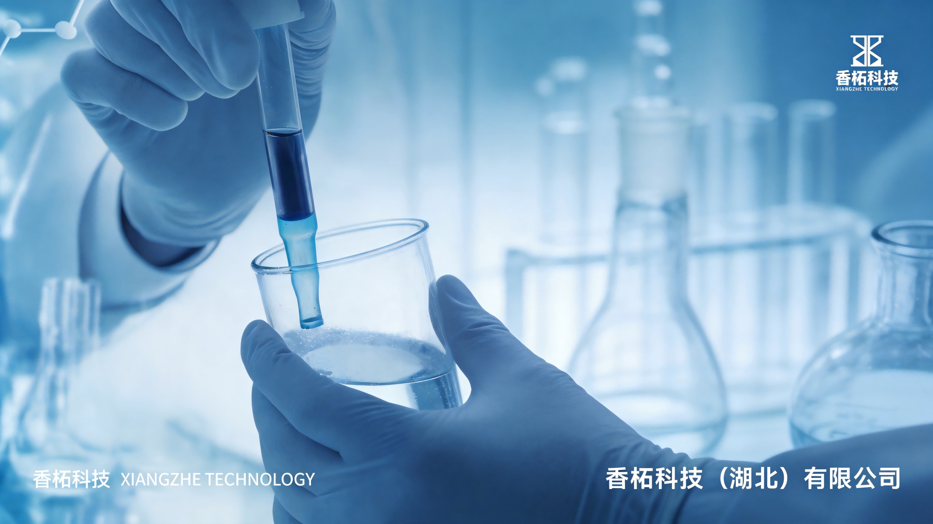 公司简介
